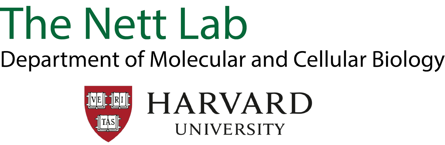 The Nett Lab