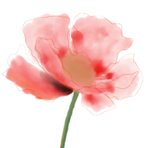 A watercolor-style illustration of a pink flower with green stem
