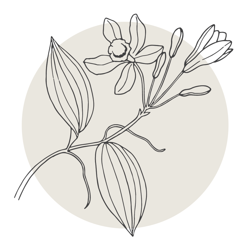 Simplistic line drawing of a flowering plant with buds, leaves, and a single flower on a circular background.