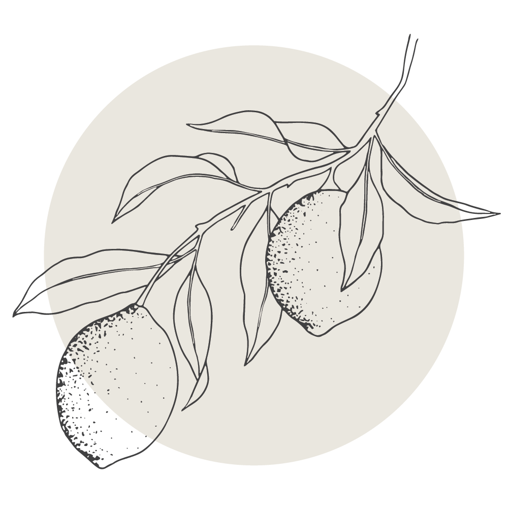 Minimalist black and white illustration of an orange tree branch with two oranges and leaves against a circular background.