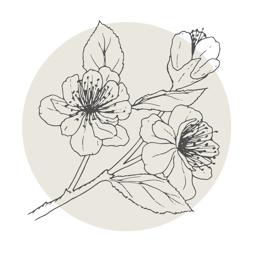 Black and white illustration of a branch with blooming flowers and leaves, centered within a circular background.