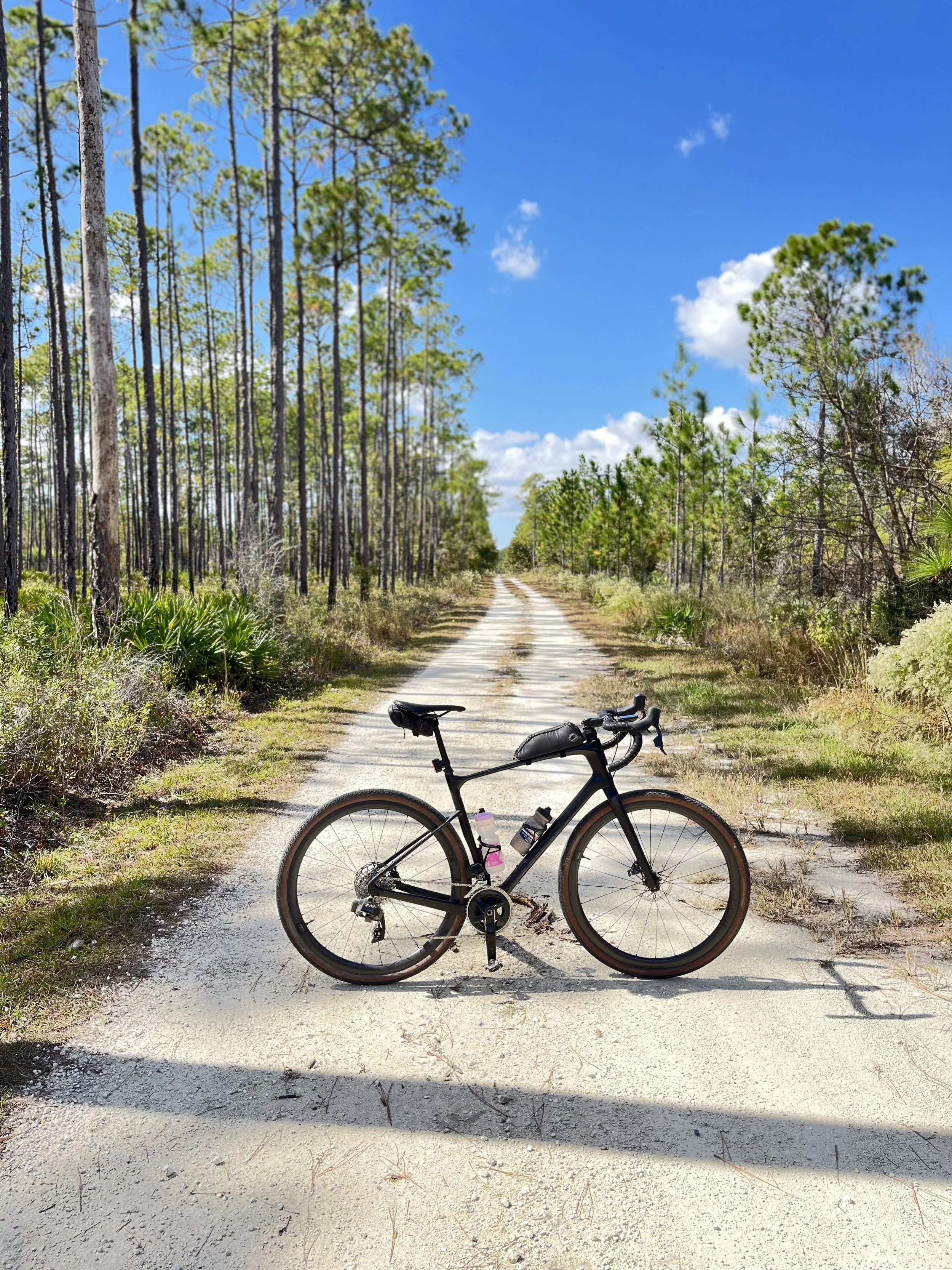 Electric Bike Rental Panama City Beach PCB E-bike