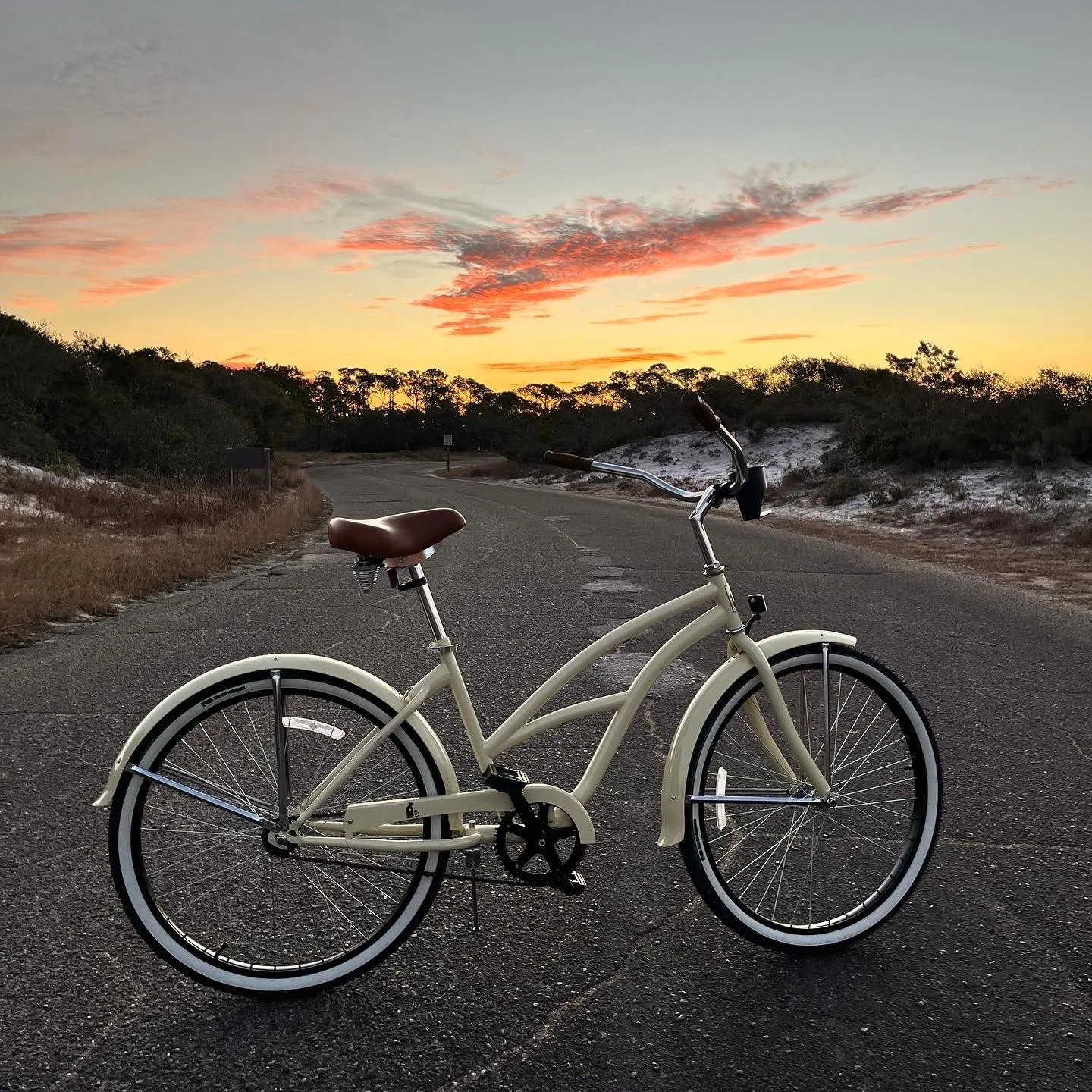 Electric Bike Rental Panama City Beach PCB E-bike