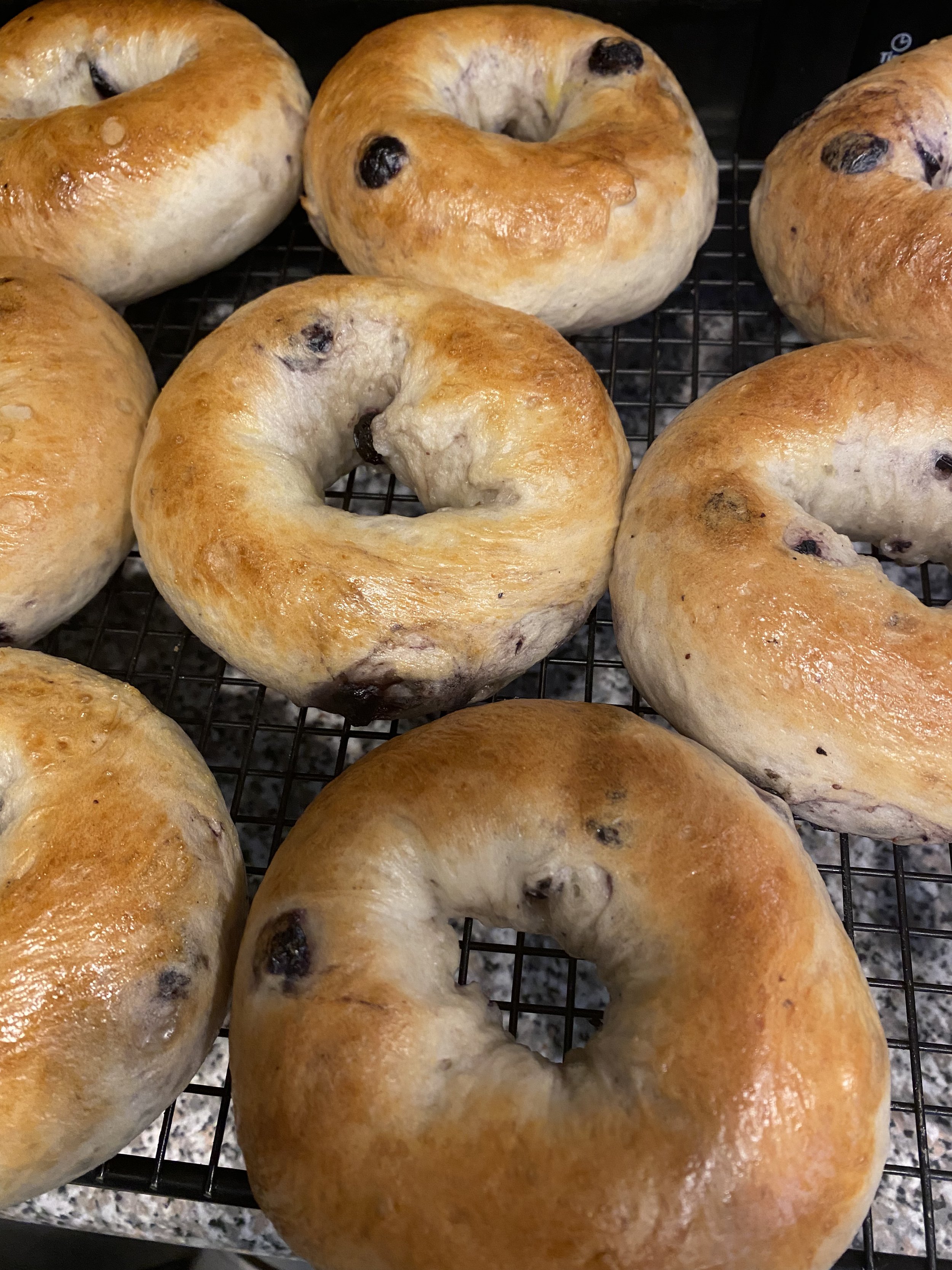 Blueberry Bagel (1/2 dozen)