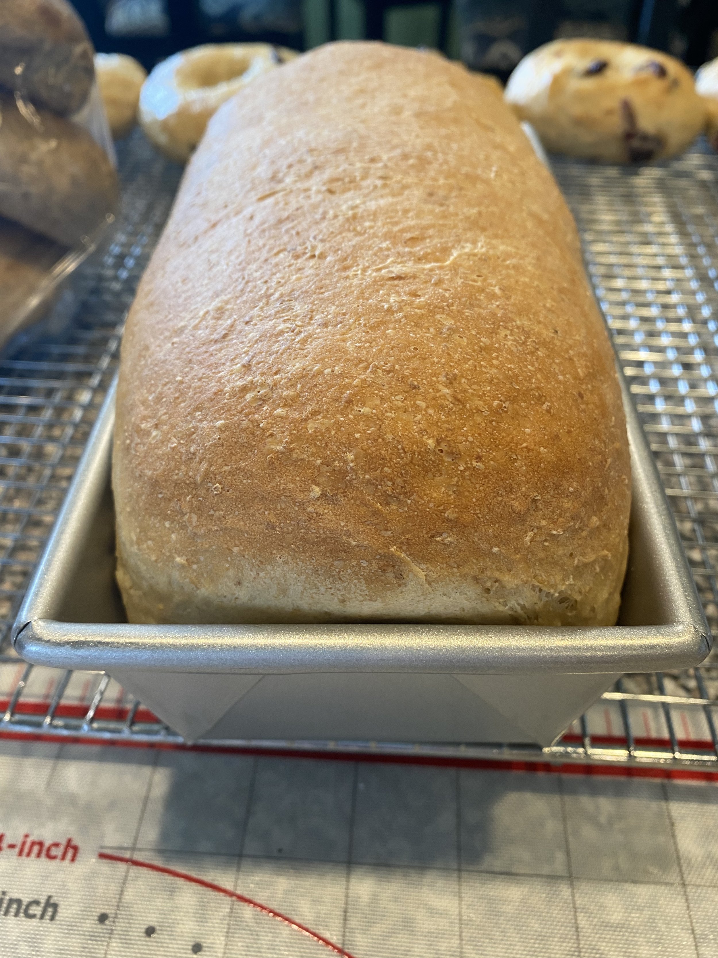 Whole Wheat Sandwich Bread
