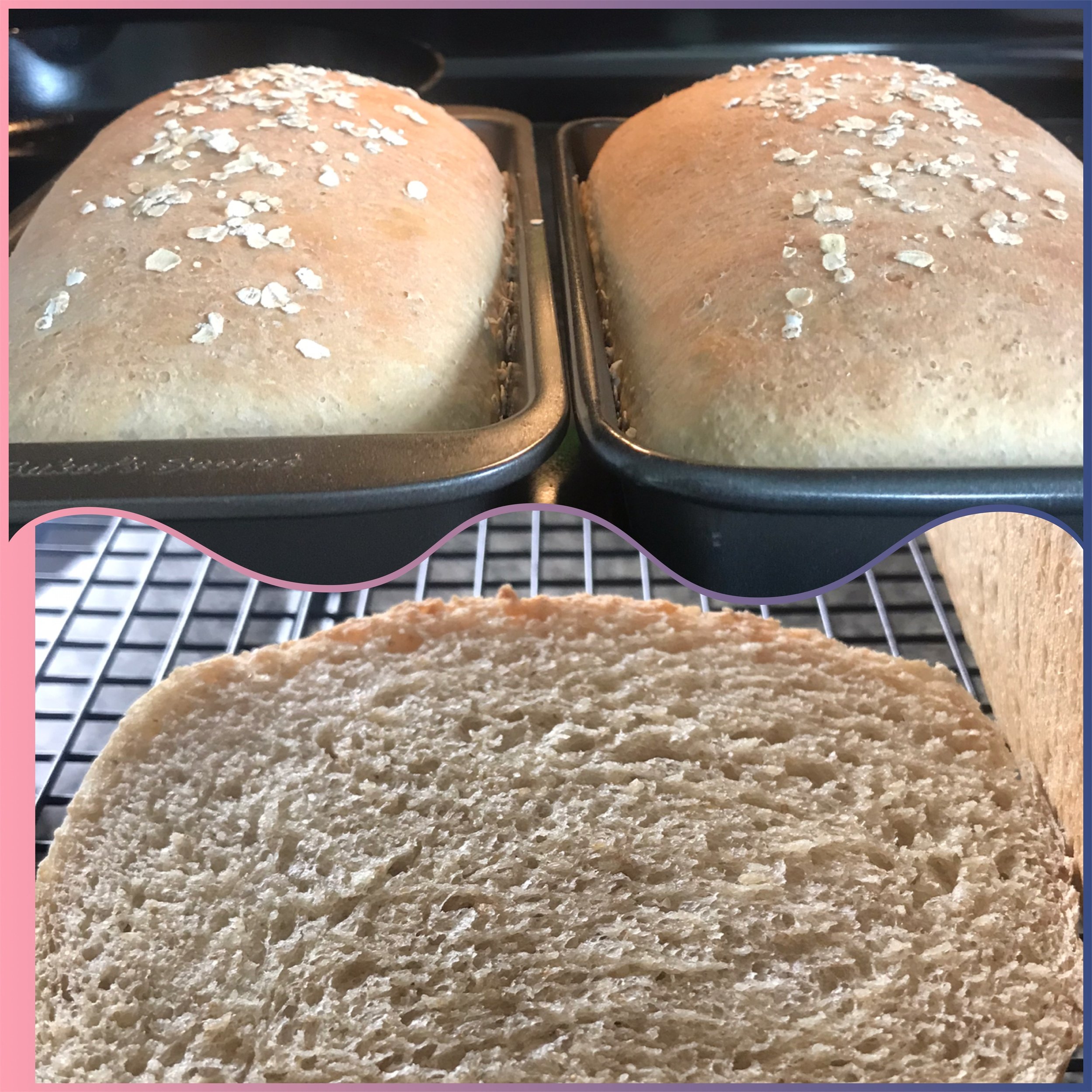 Oatmeal Honey Whole Wheat