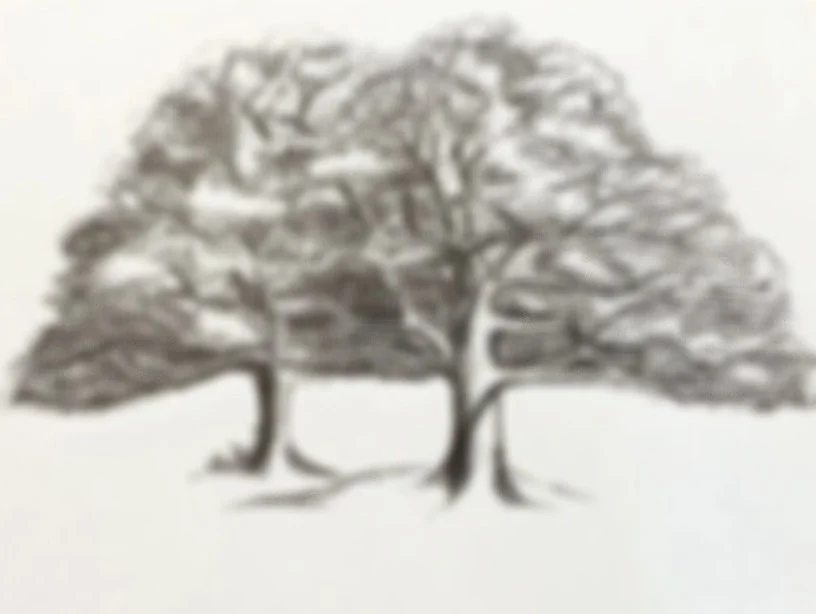 Pen and Ink/ Graphite