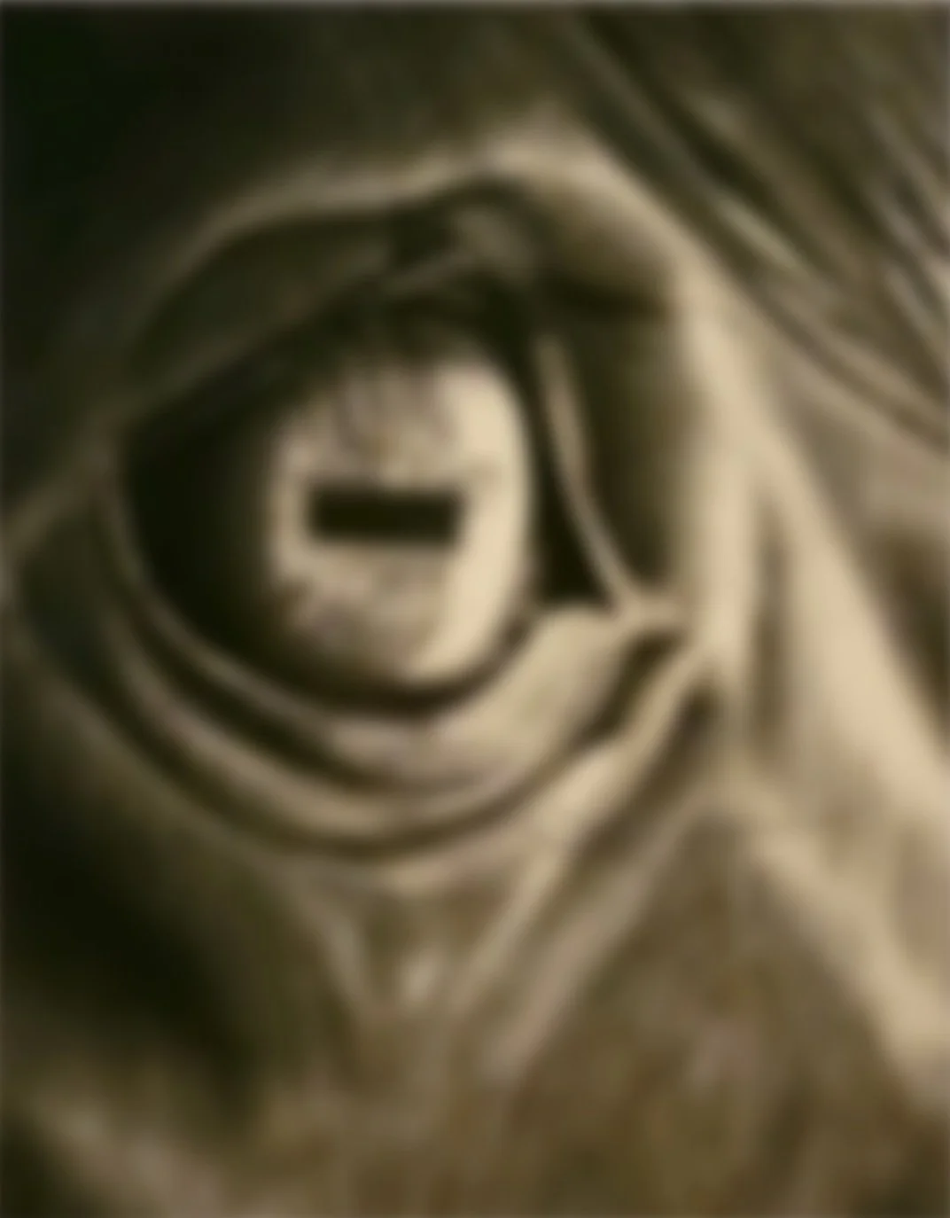 Charcoal