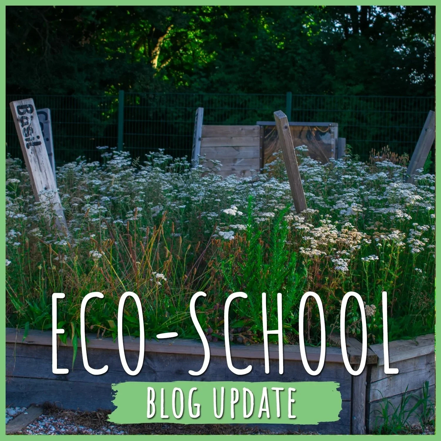 Eco blog: