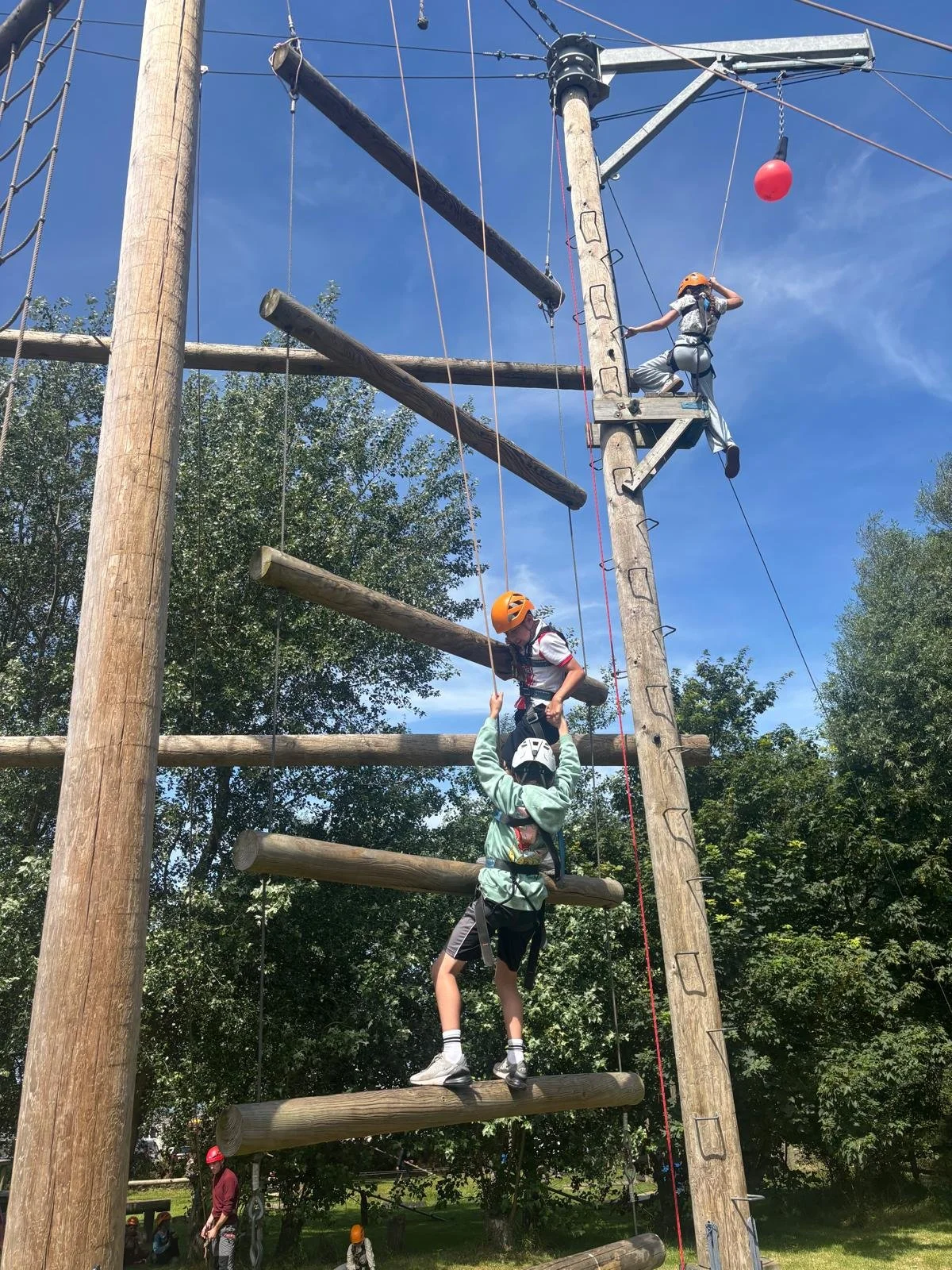 242832c2-e553-4acf-a4b6-7de2d0fcf4f6.jpg