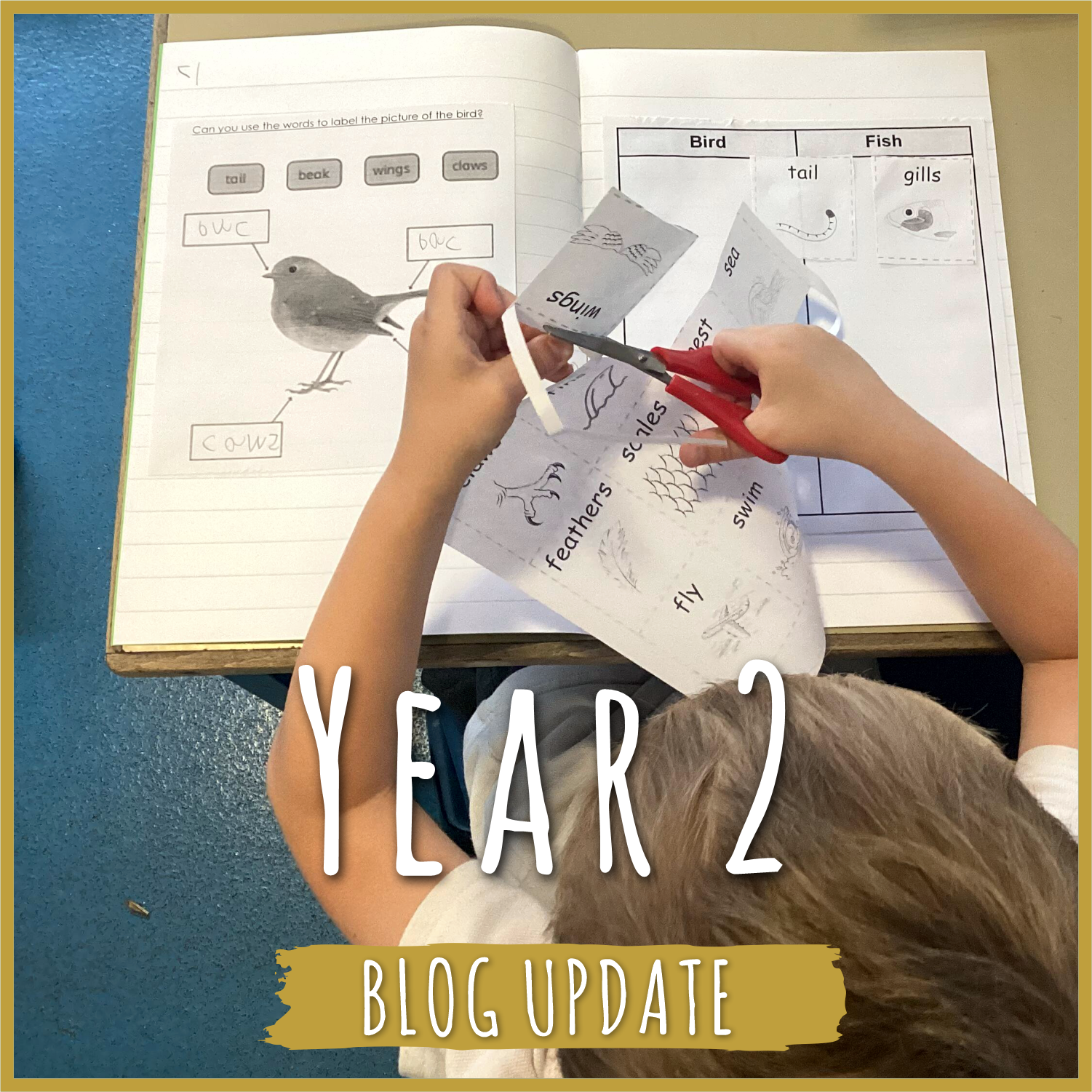 Year 2 blog: