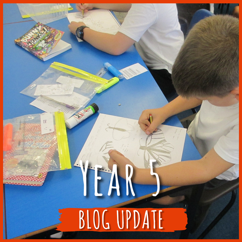Year 5 blog: