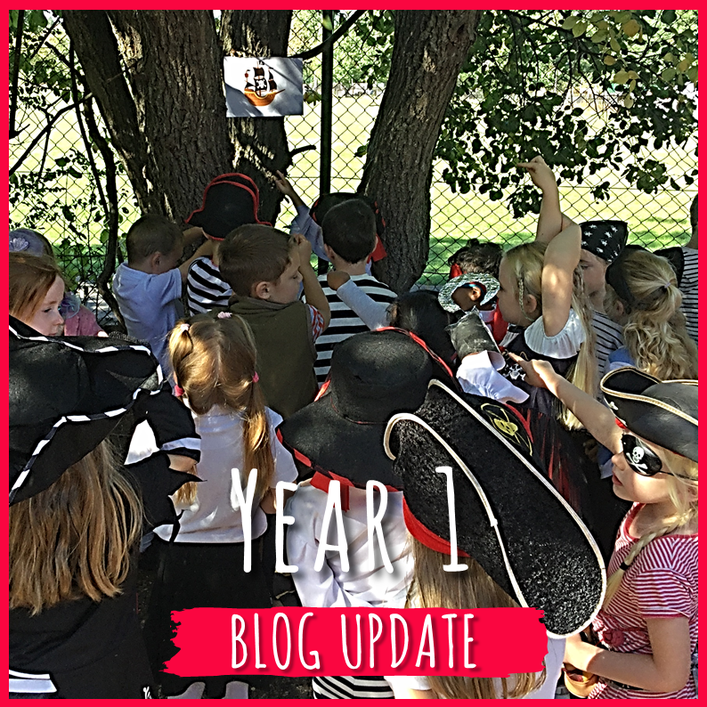 Year 1 blog: