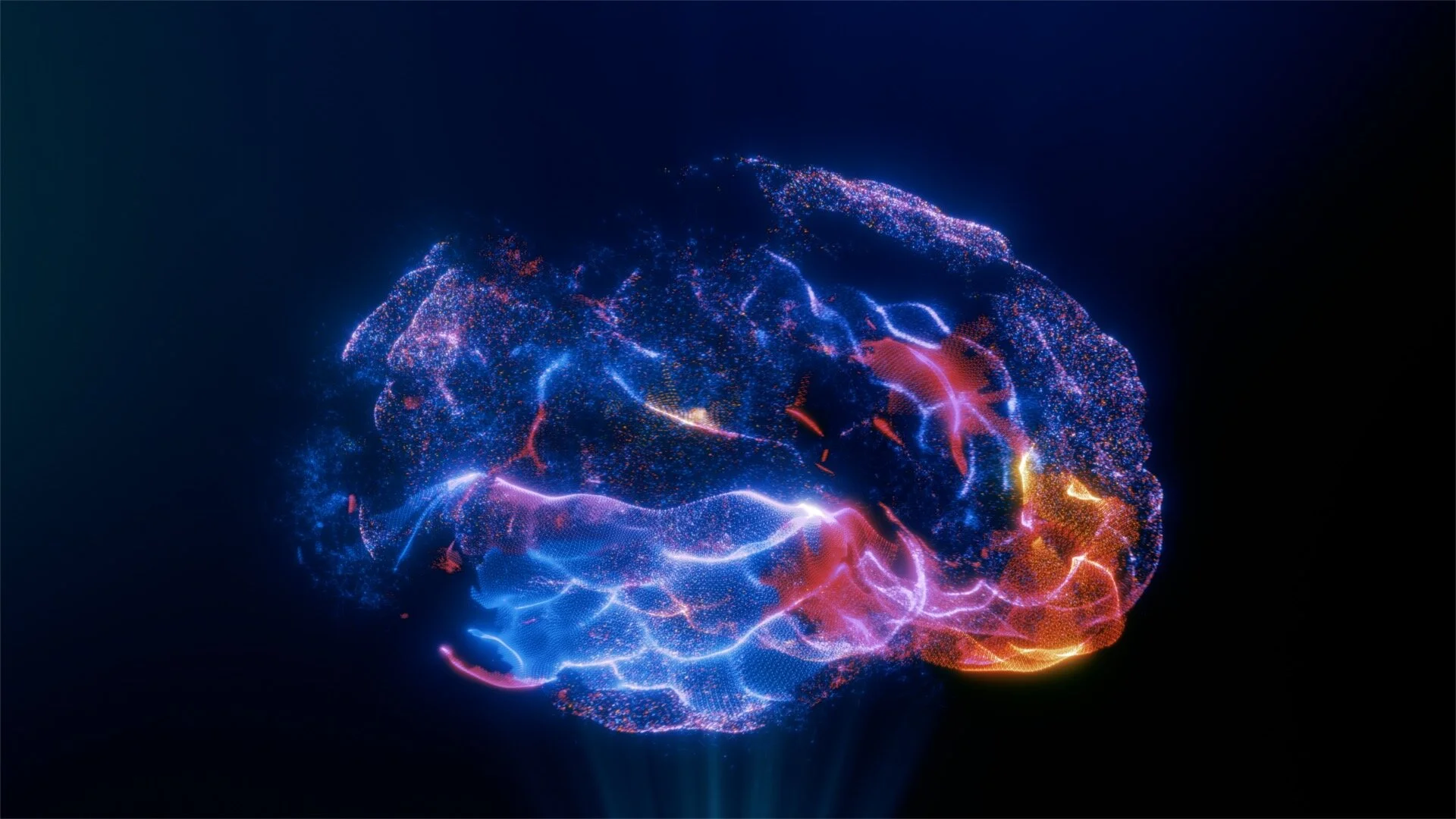 About us background fallback.jpg