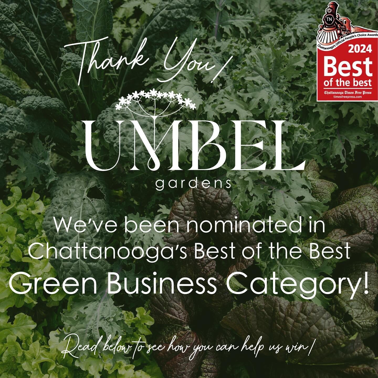 Thank you to everyone who nominated us for Chattanooga&rsquo;s Best of the Best! Because of you, we made it in the top 5 businesses in the &ldquo;Green Business or Organization&rdquo; category! 💚
There are many incredible businesses and organization