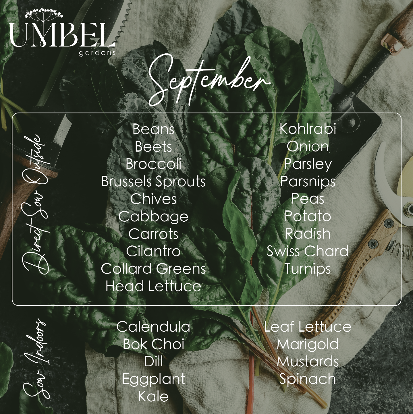 September Seed Starting