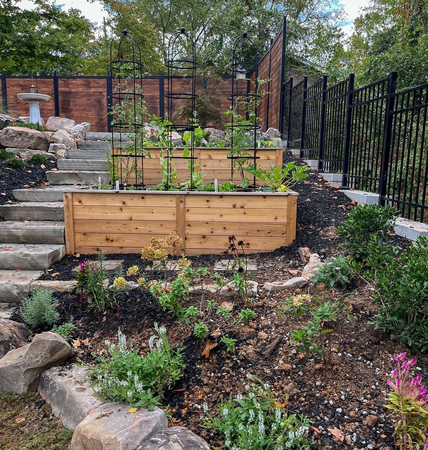 A terraced kitchen garden! 🥬
Then &amp; Now- This slope has changed so much over the months, but we aren&rsquo;t done yet. Fall is the perfect time to add fruiting shrubs to your garden and we are going to do just that!
Before &amp; After coming in 