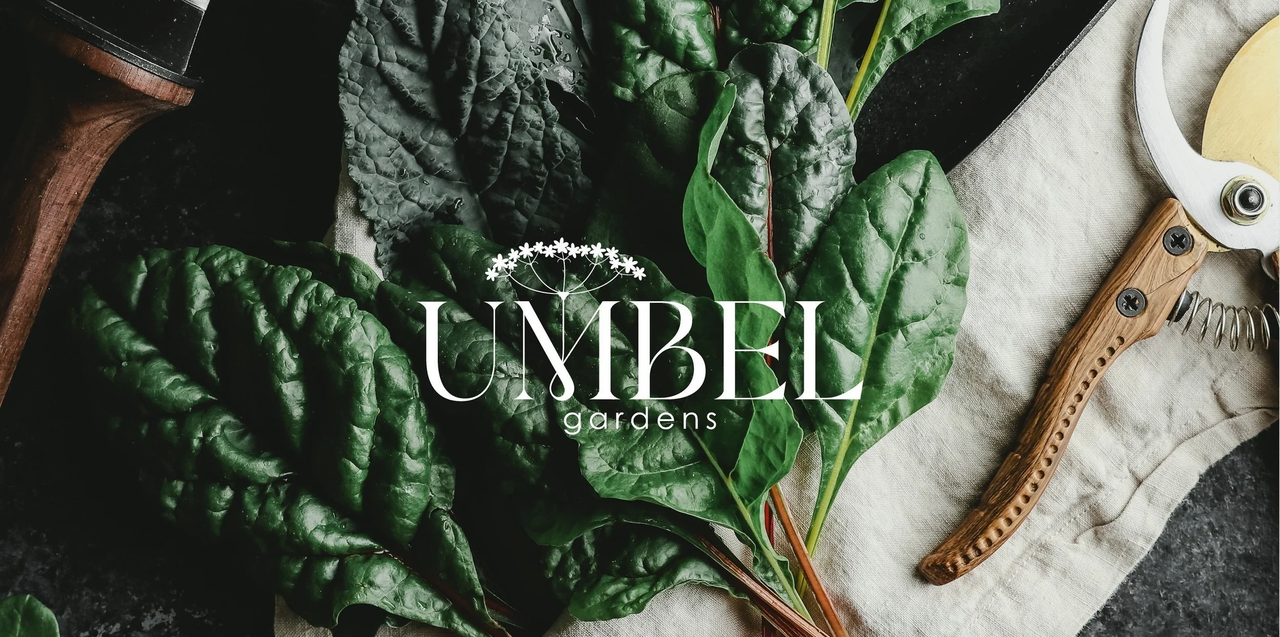 Umbel Logo
