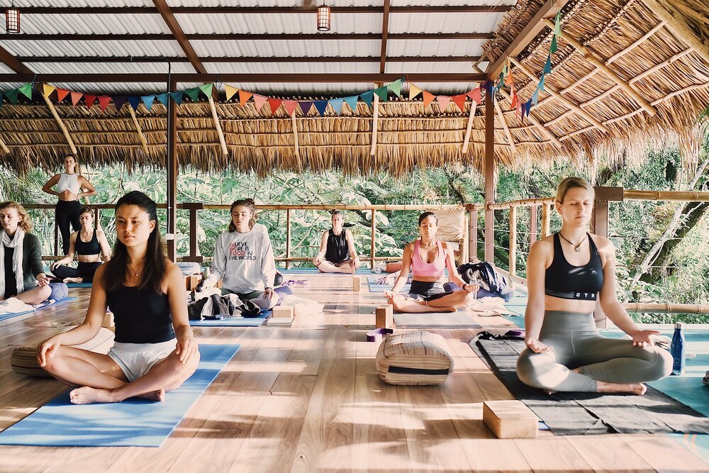 vidaasana.jpeg