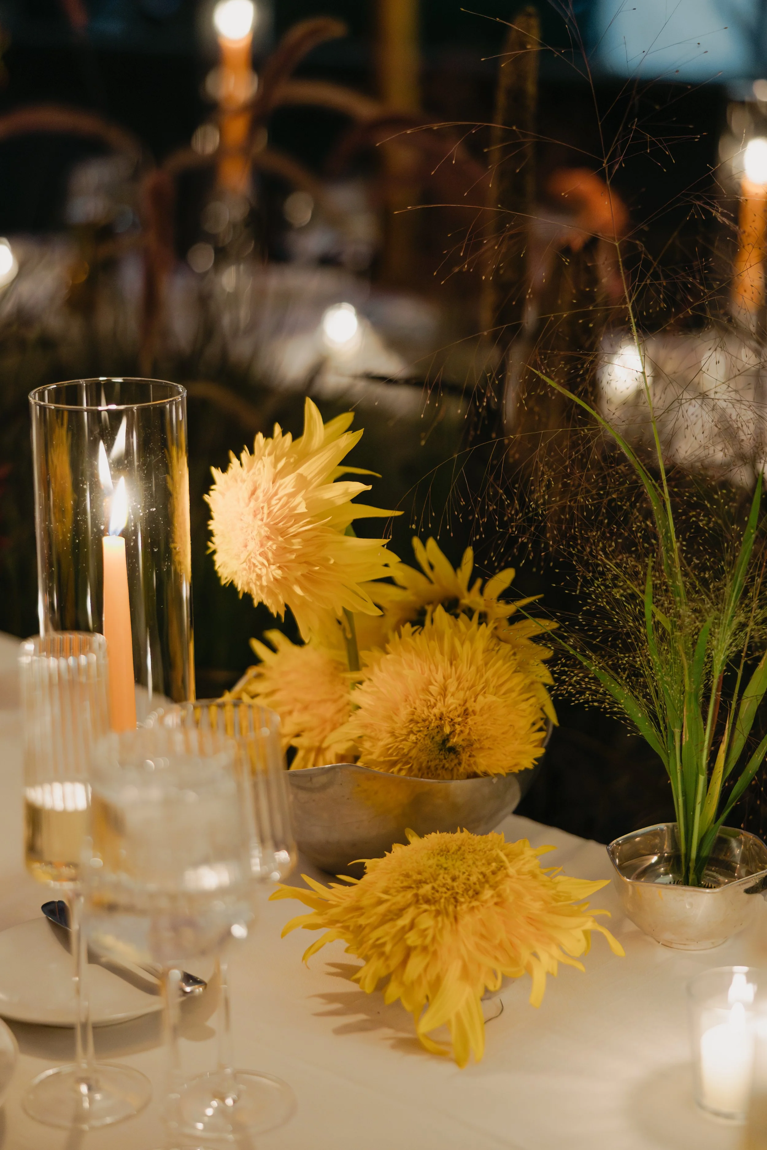 photographer: Kayleigh Taylor