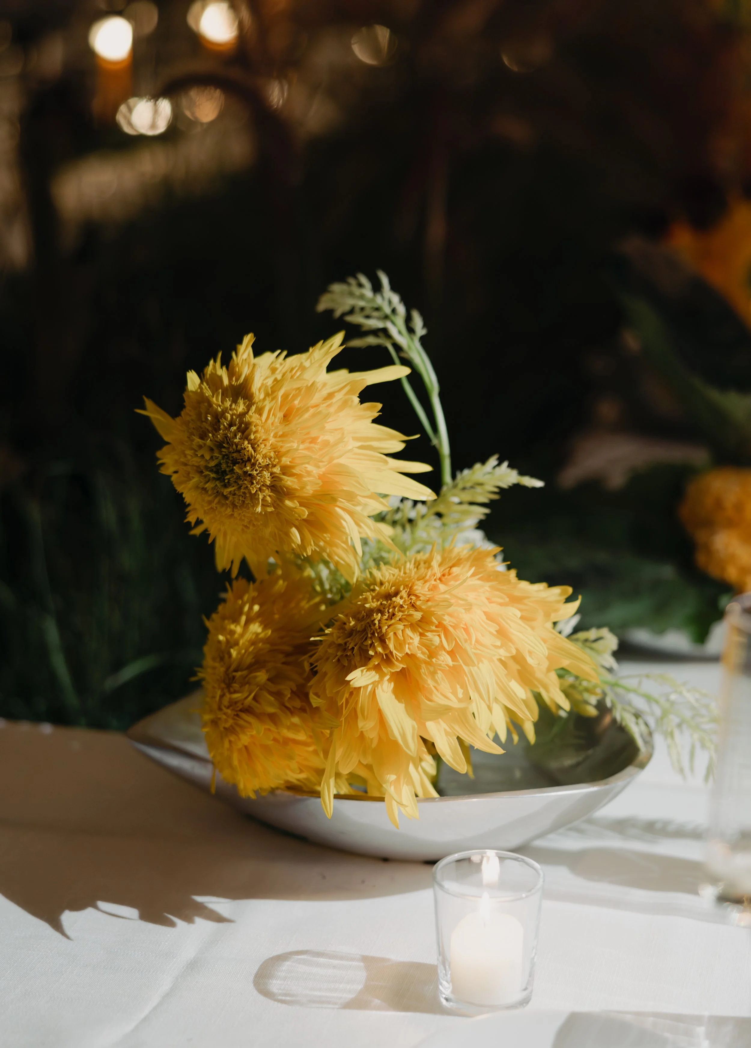 photographer: Kayleigh Taylor