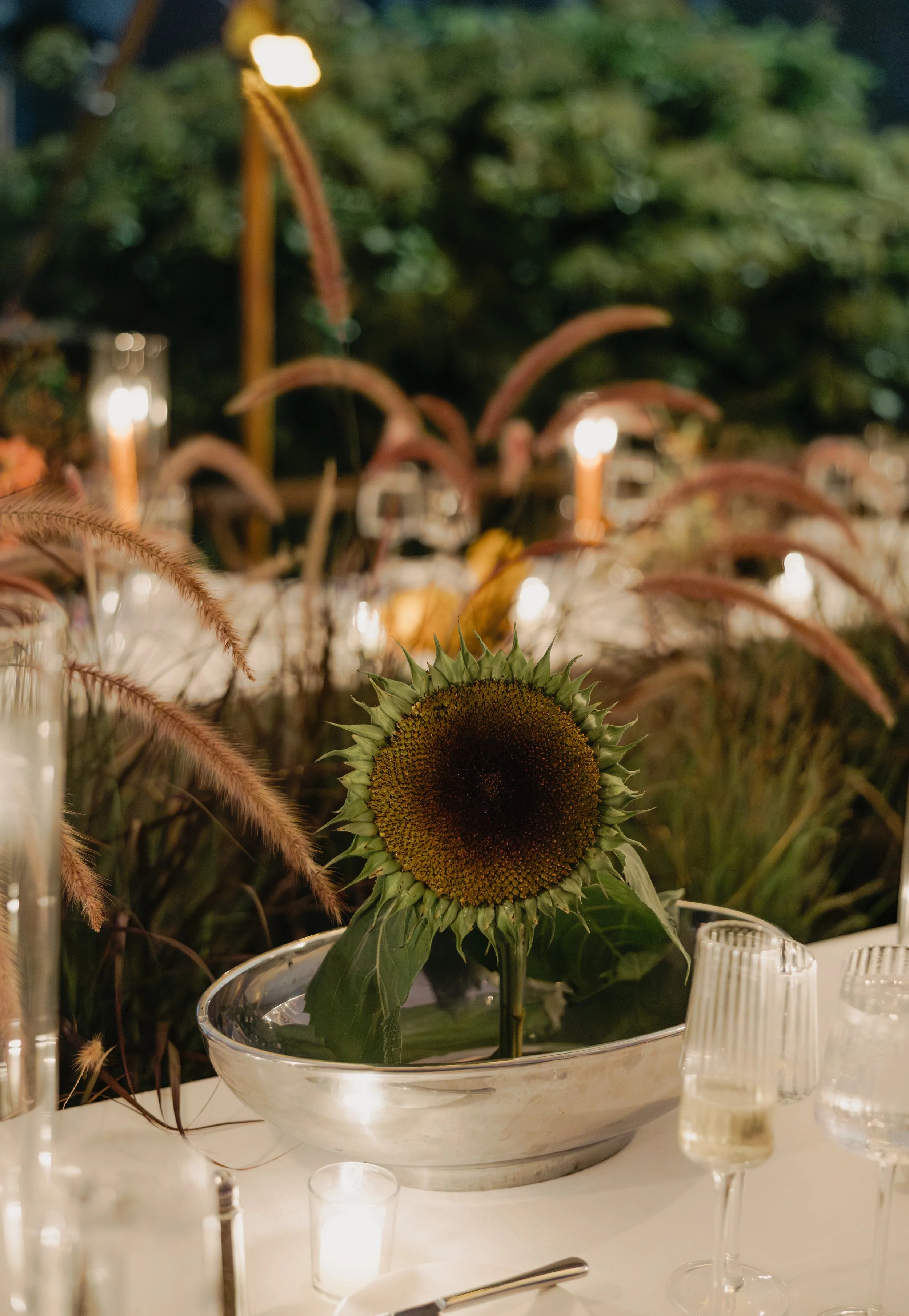 photographer: Kayleigh Taylor