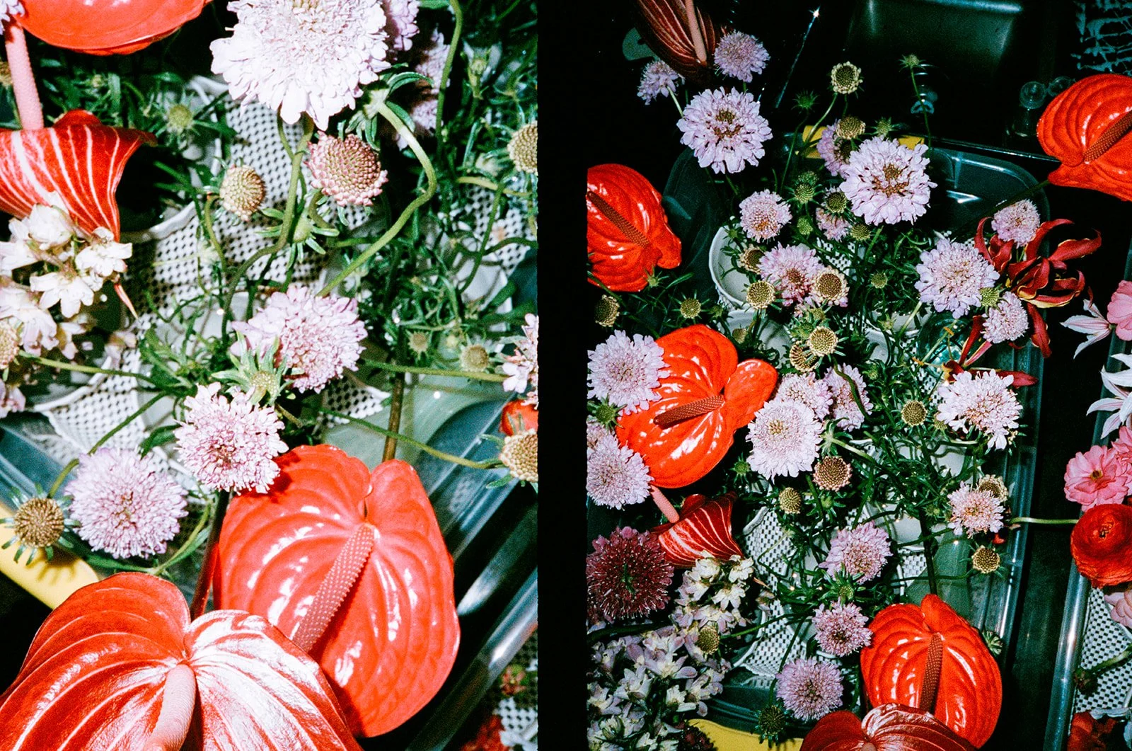 The Grahams Photography