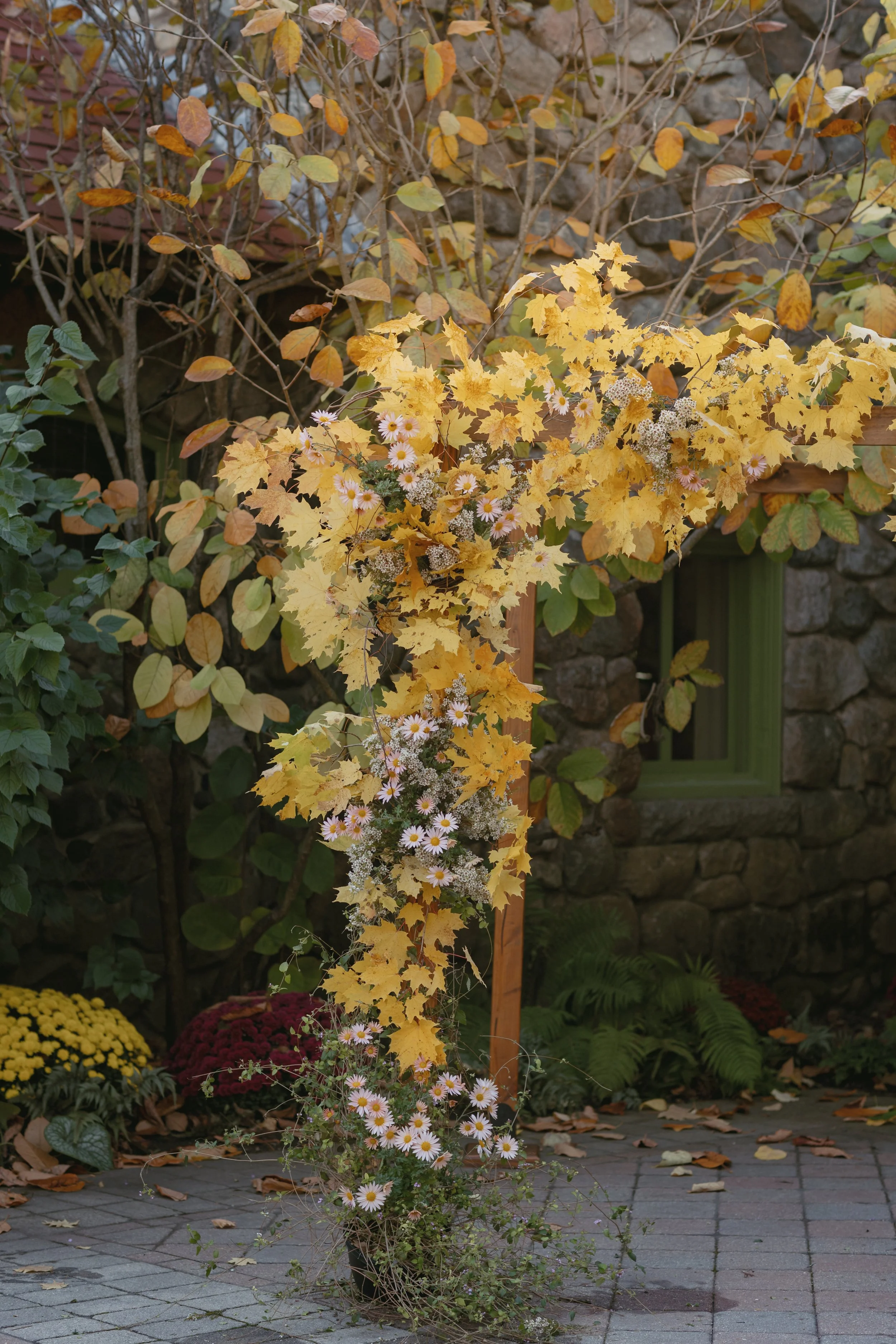 photo: Caroline Giuliano Photography