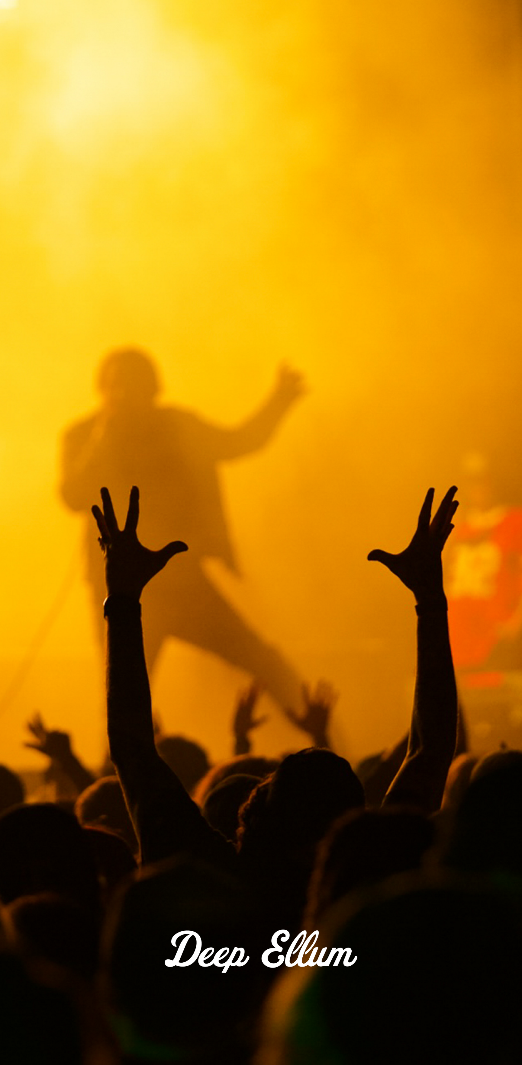 Live Music Lens Banner Series Deep Ellum Foundation Photo of Crowd Shot at Bomb Factory by Sierra Potts