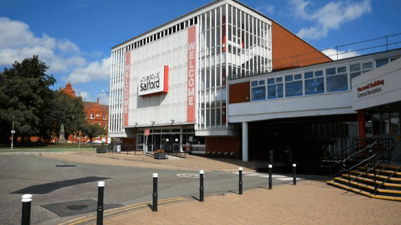 Videography & Animation