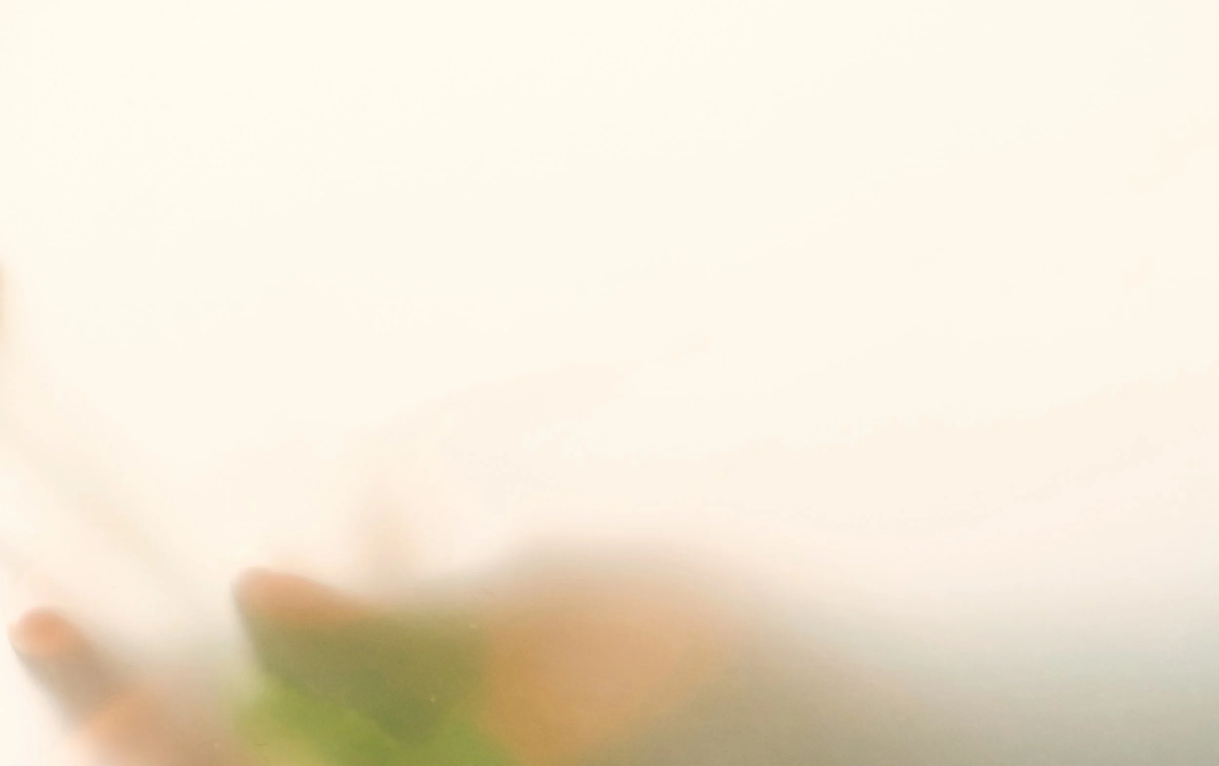 This image is blurred and unclear, making it difficult to identify specific objects or scenes.