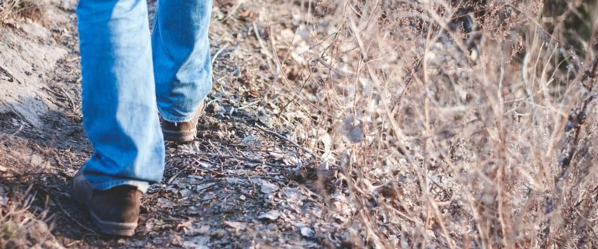 cropped view of a person's legs in blue jeans and brown shoes walking on dry field