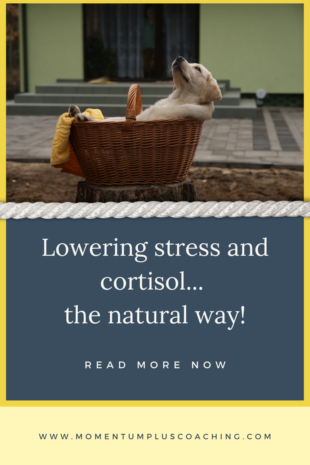 Stressed Out!