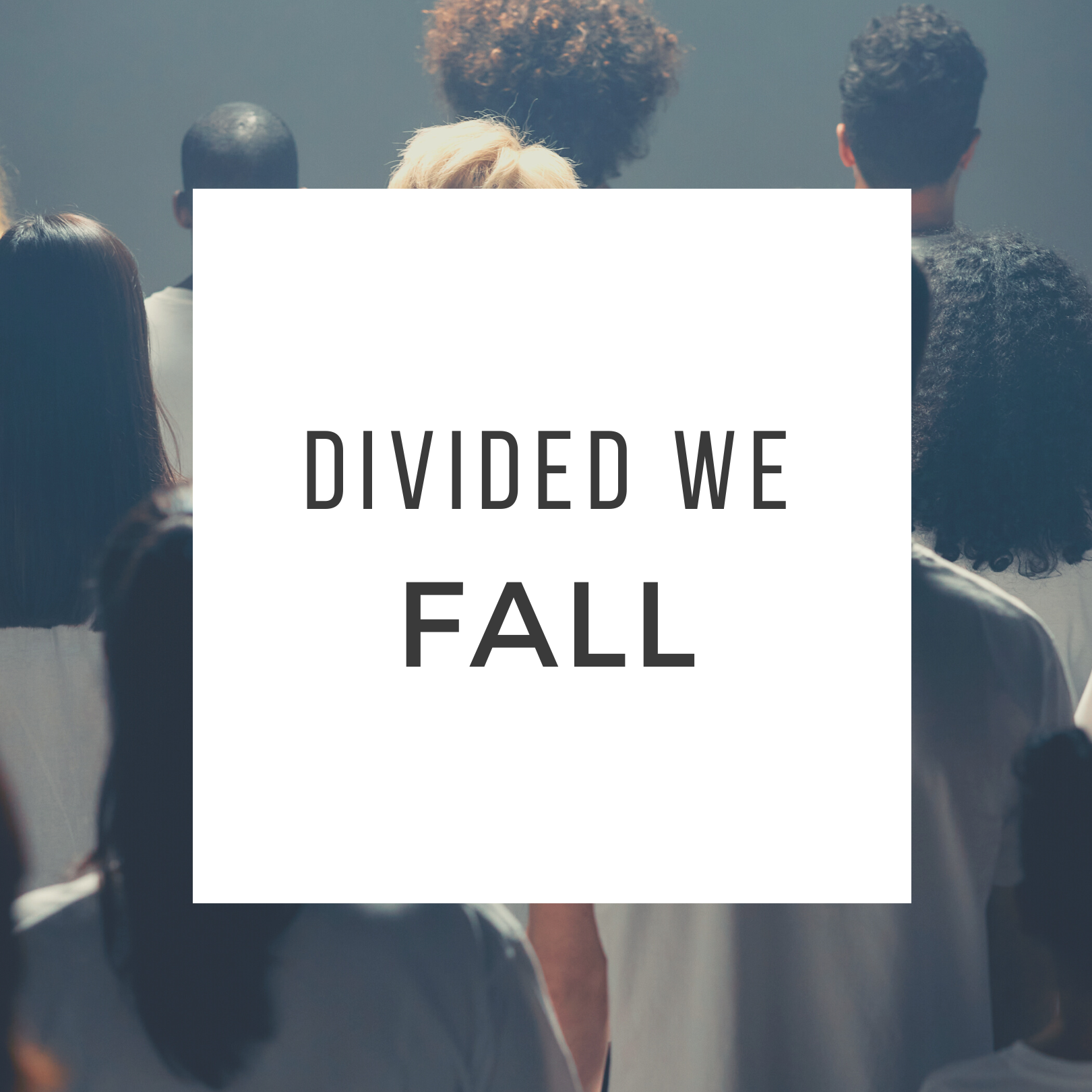 Divided We Fall