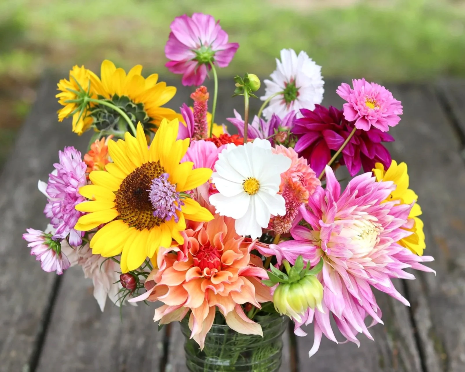 2026 PYO Flower Share