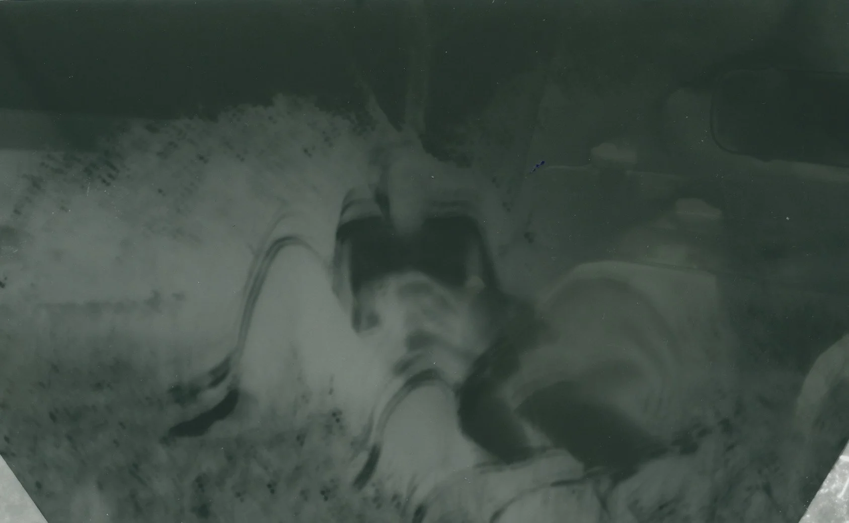 maggie sam pretty damn green.jpg