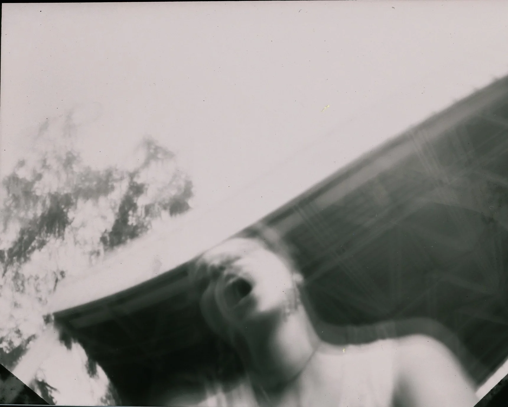 me screaming green.jpg