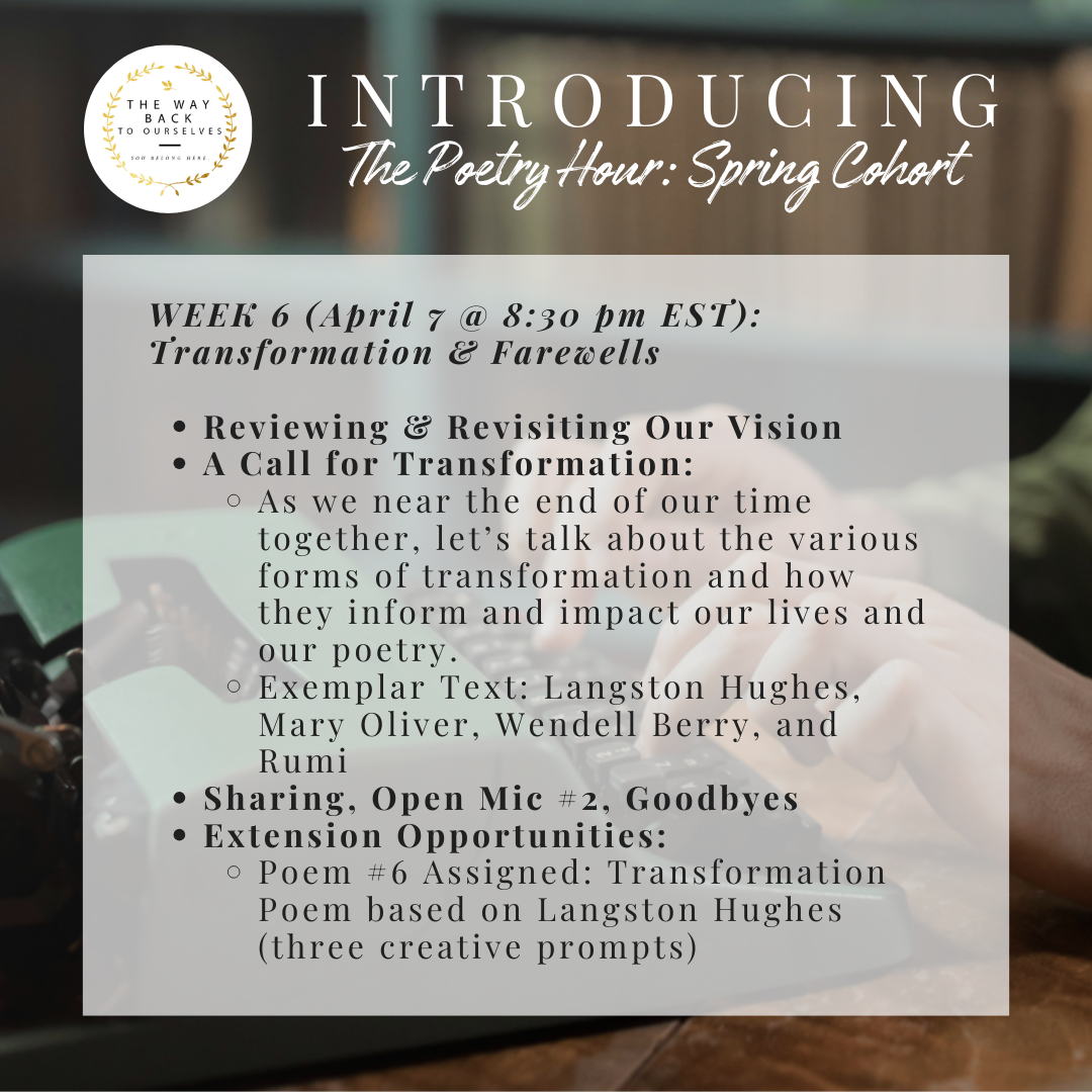 spring cohort 6.png