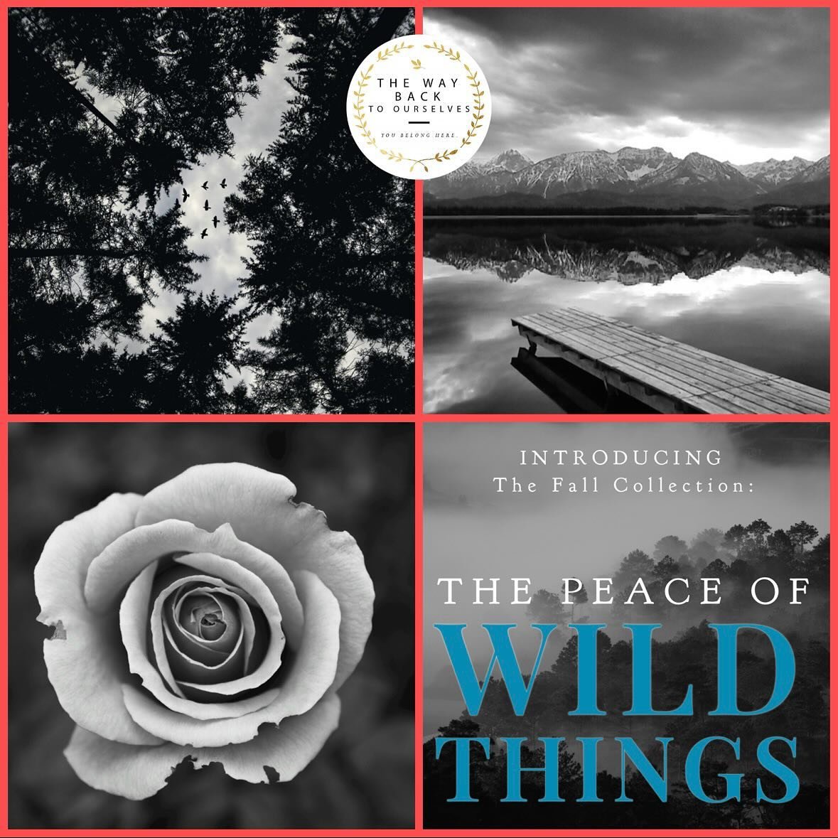 🌲🍁🏔️ It feels like Christmas Day for the editors &amp; me&mdash;&amp; no doubt, you too, if you were published in our literary journal&rsquo;s Fall Collection: THE PEACE OF WILD THINGS, inspired by the work of Wendell Berry!

Why??? 

🍁🍁BECAUSE 