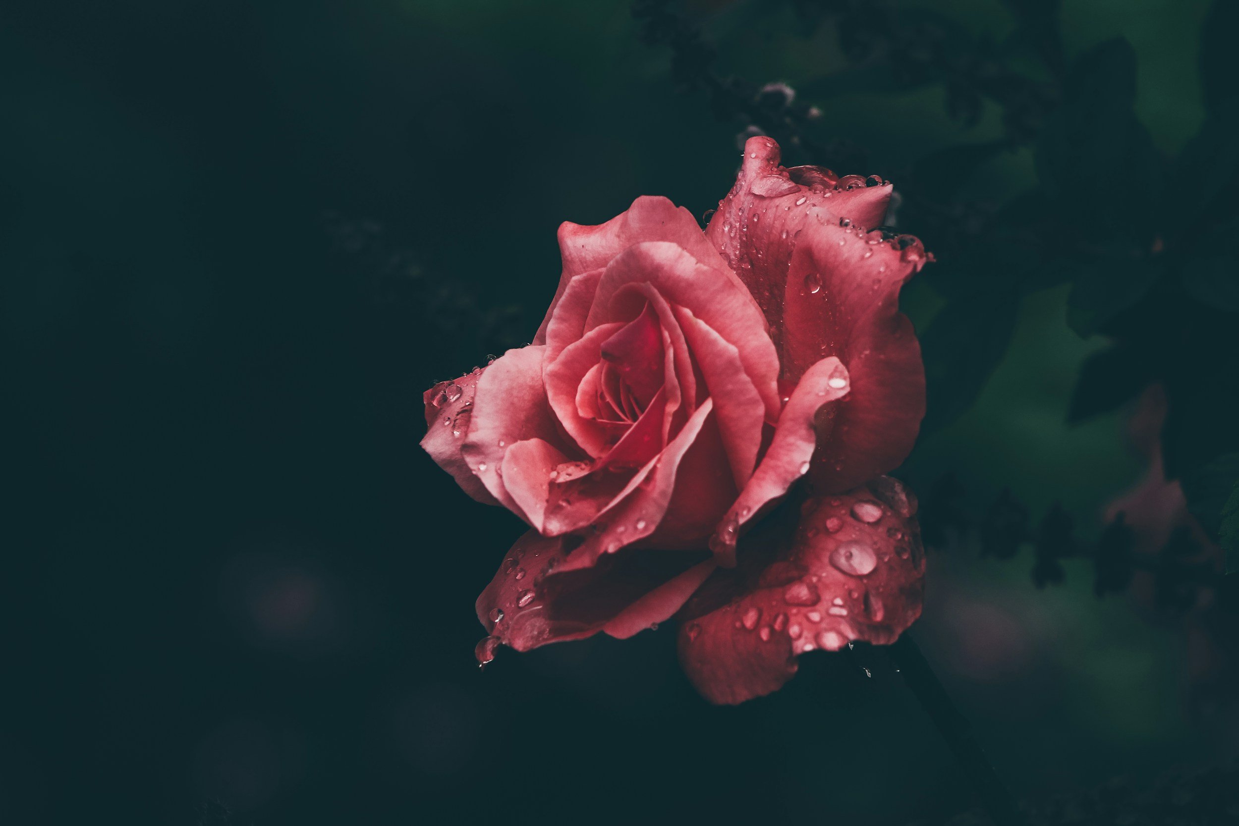 Hallowed is the Breaking and Other Poems