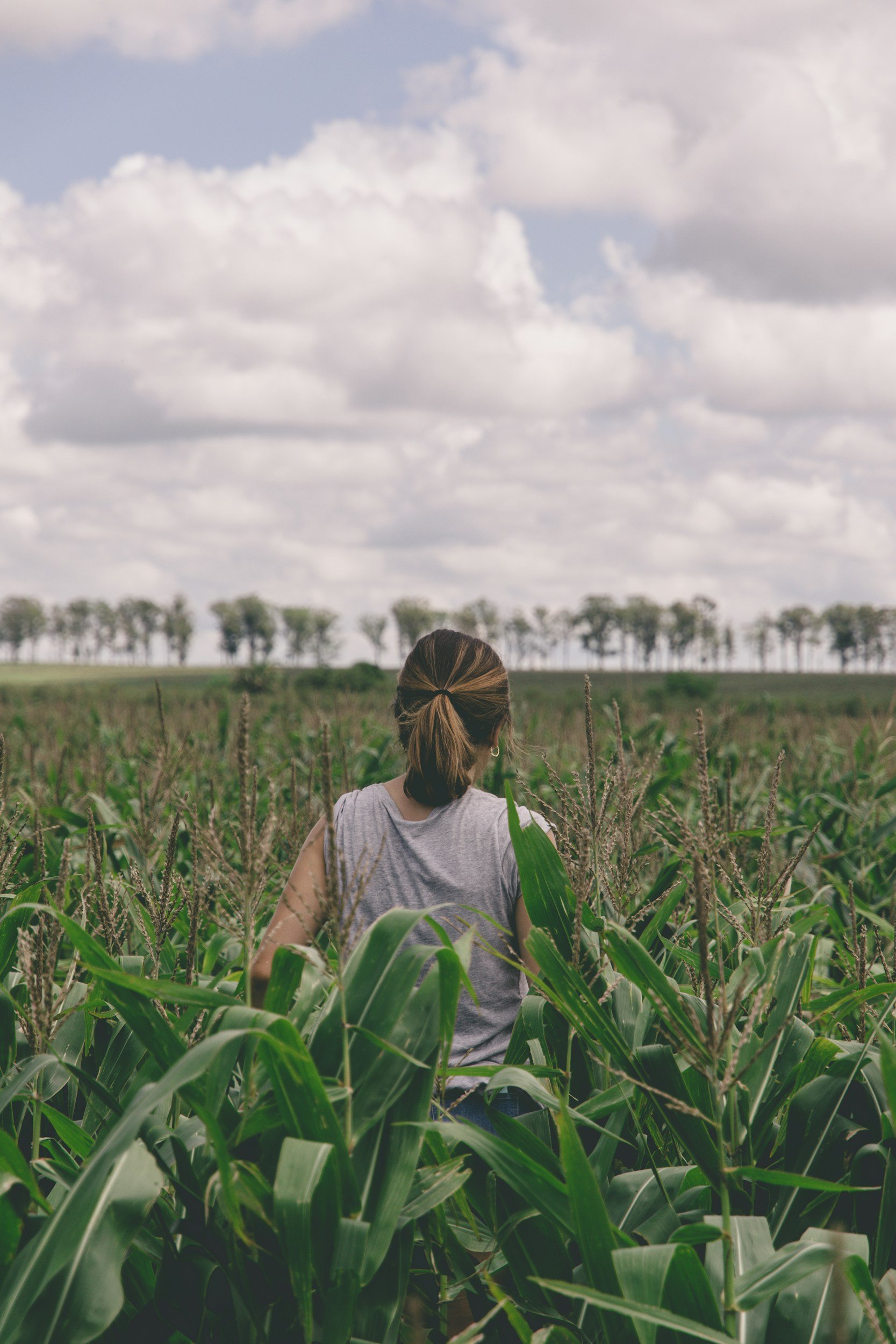The Pastoral