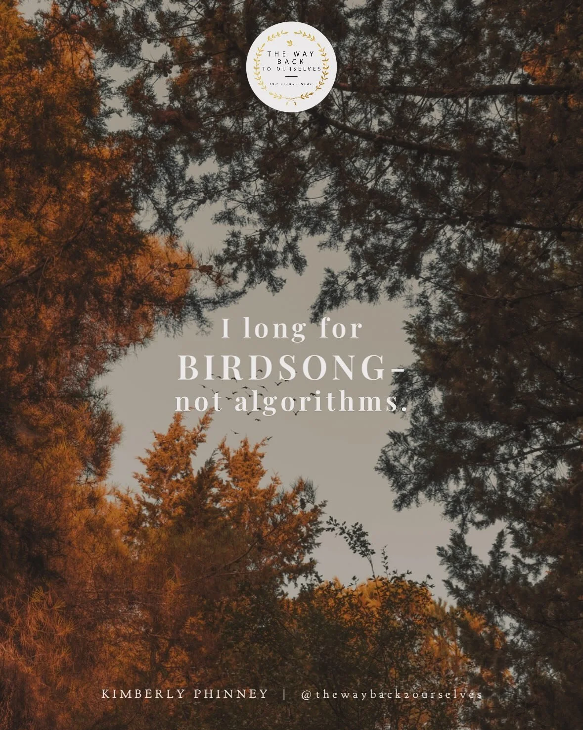 🙏🏼🙏🏿🙏🏾Blessed Sunday to you, my sweet friends. Like @deidrebraley, the poetry finally came back yesterday after being knee-deep in my nonfiction project, which I just submitted to a large Christian publisher. Please pray over this book&mdash;be