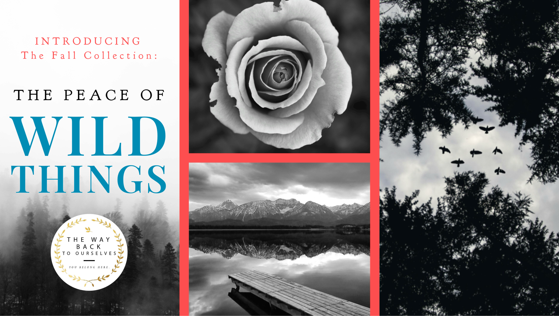 TWBTO Literary Journal: Fall Collection 2024-THE PEACE OF WILD THINGS (Subs open Sept. 1-Oct. 1)