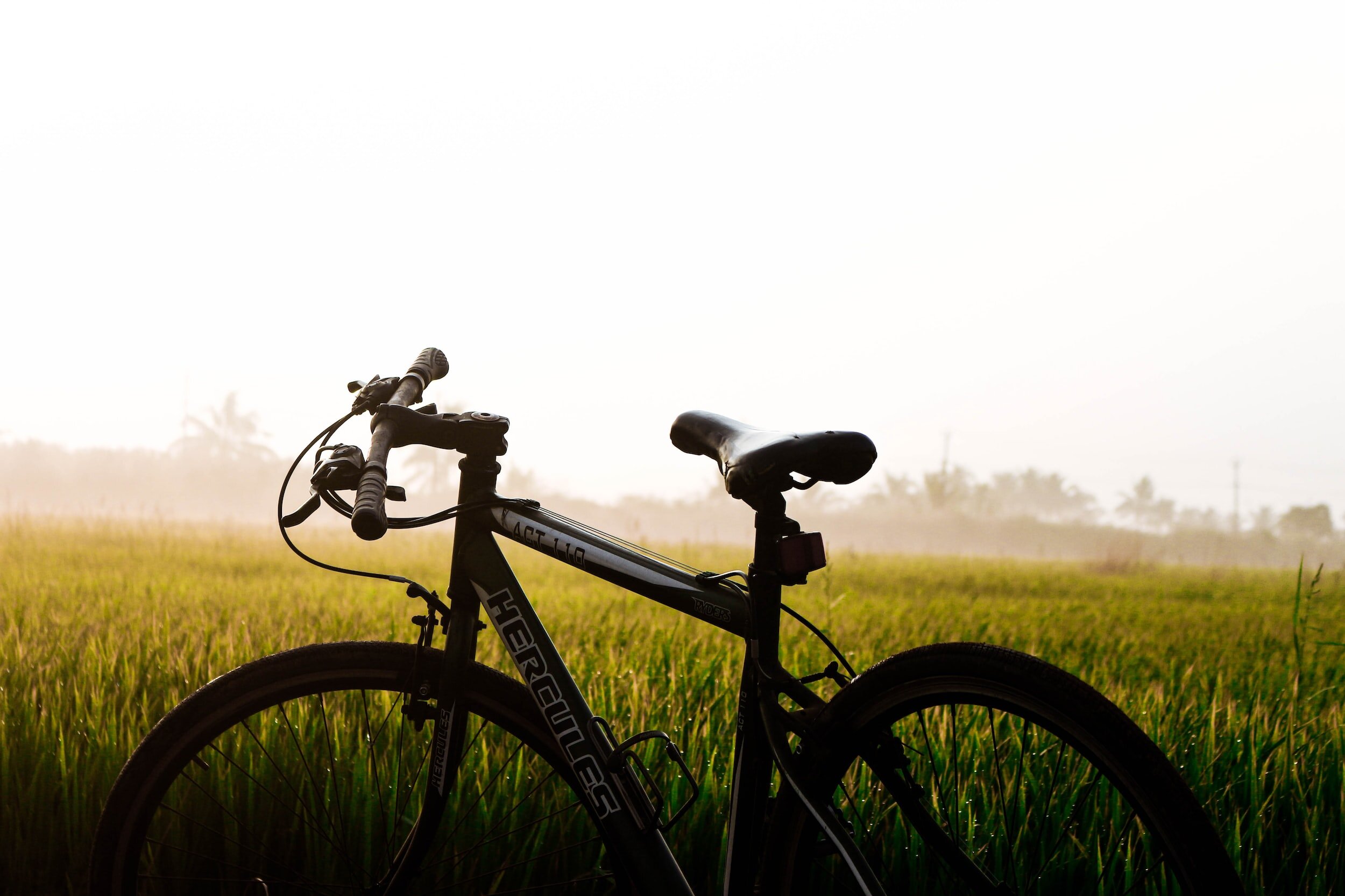 4 Steps to Reduce Procrastination and Increase Motivation