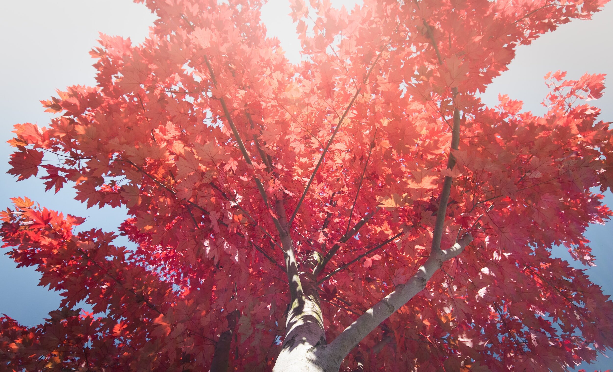 What is Mindfulness?