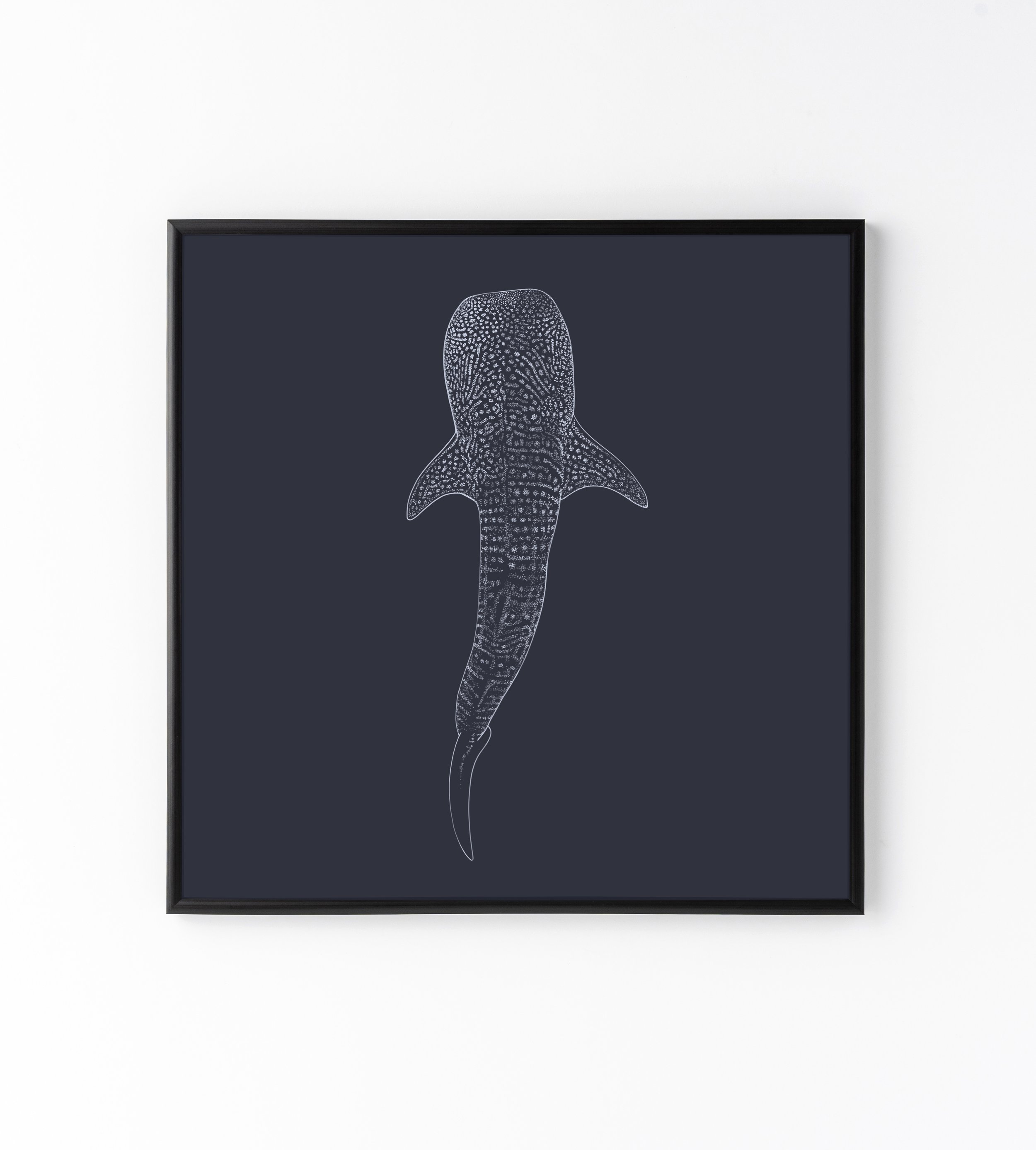 Whale shark frame4.jpg