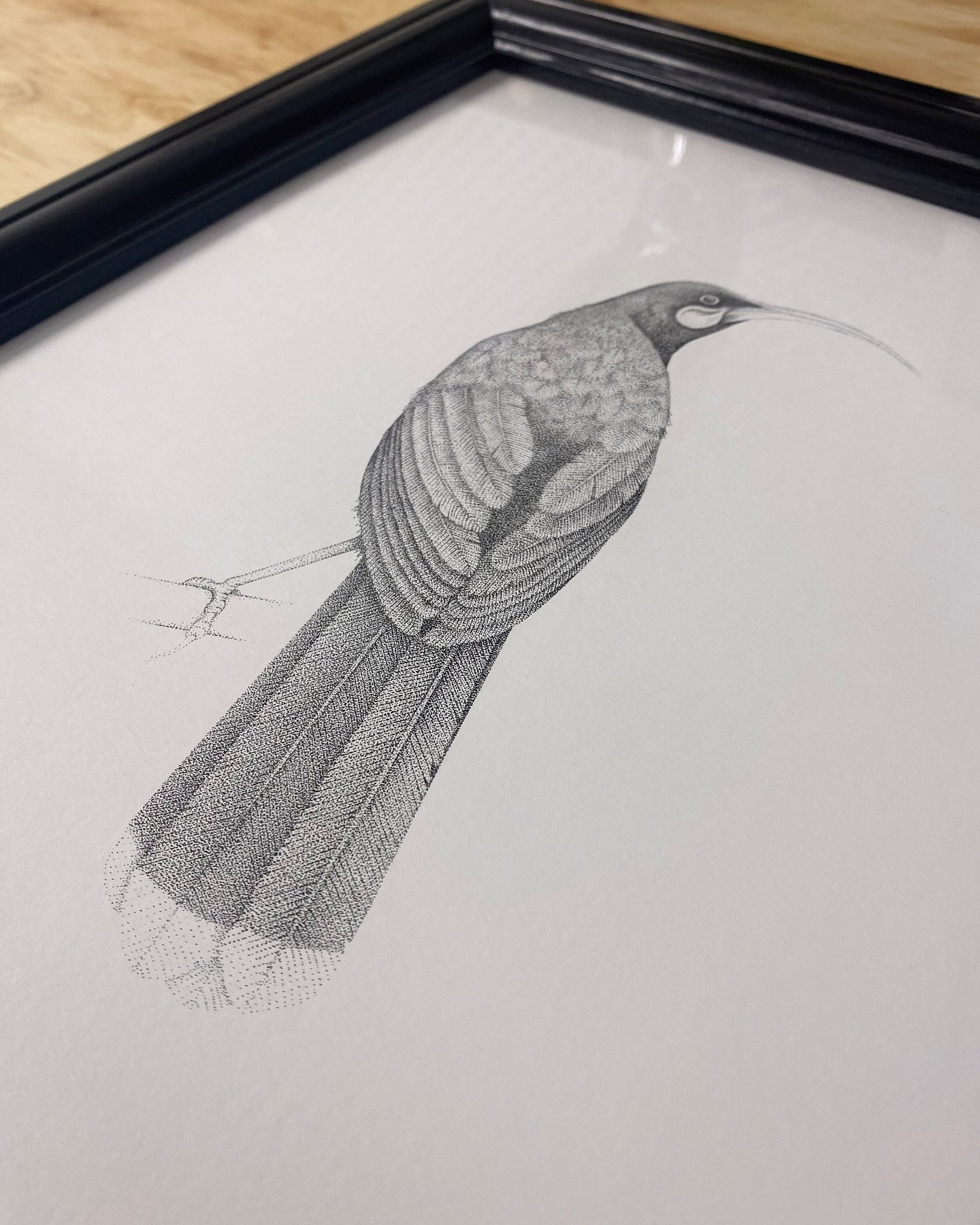 &lsquo;Paradise Lost&rsquo;

Framed and ready to go to the @nz_art_show at the end of the month!

📍TSB Arena, Wellington
🗓️ 30 May - 1 June