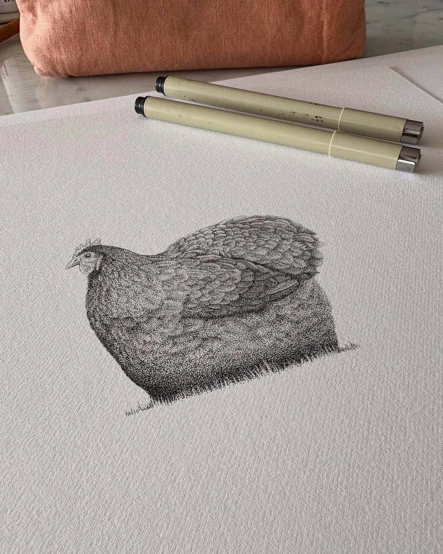 Big Momma, she was the queen of all chickens. 🐓 

From native birds to beloved farm animals, feathers are becoming one of my favourite things to draw.
