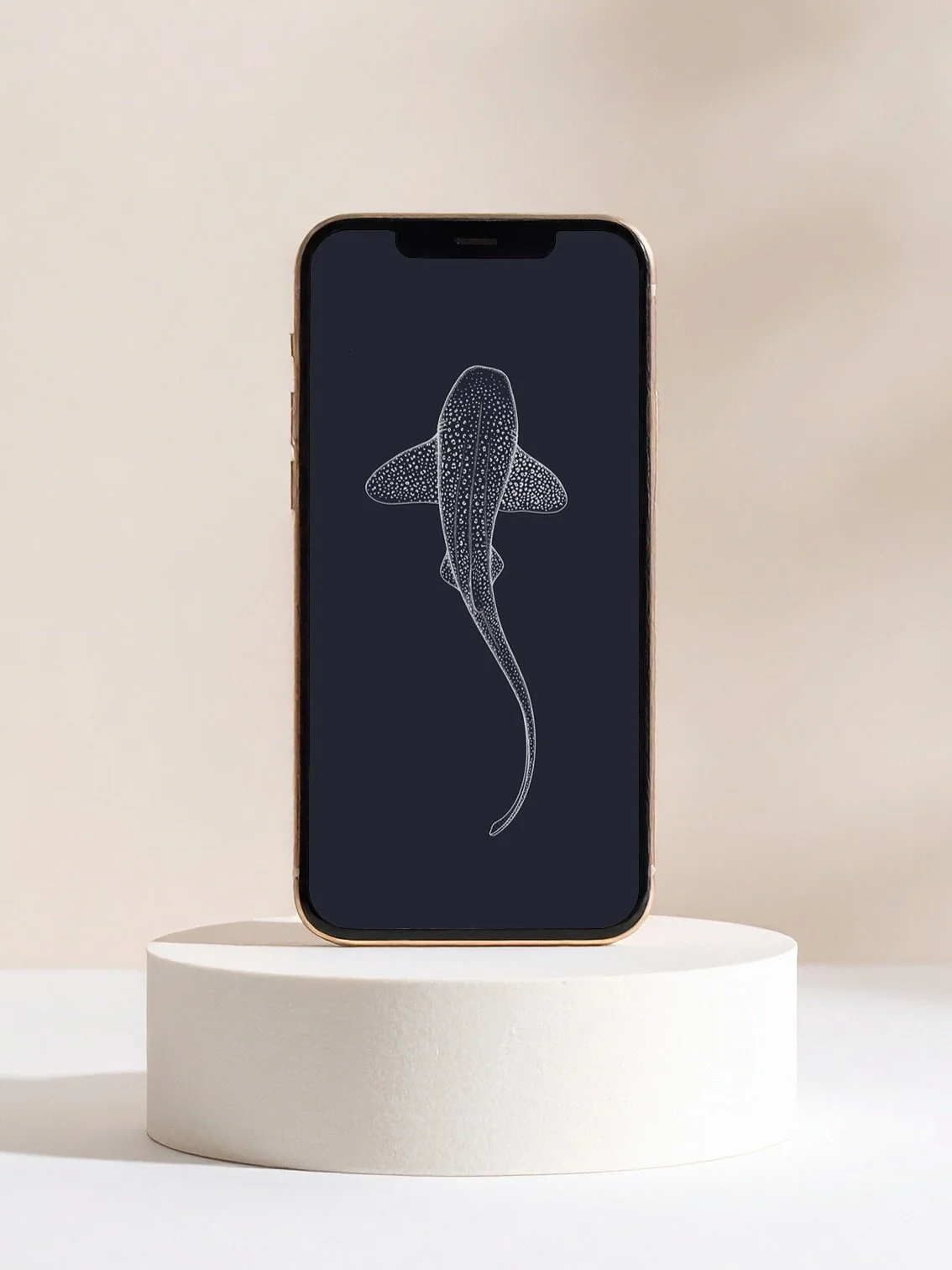 I&rsquo;m updating $1 monthly wallpapers on my website to make art more accessible to everyone, and you can take a piece of wildlife art in your pocket, wherever you go ☺️💙