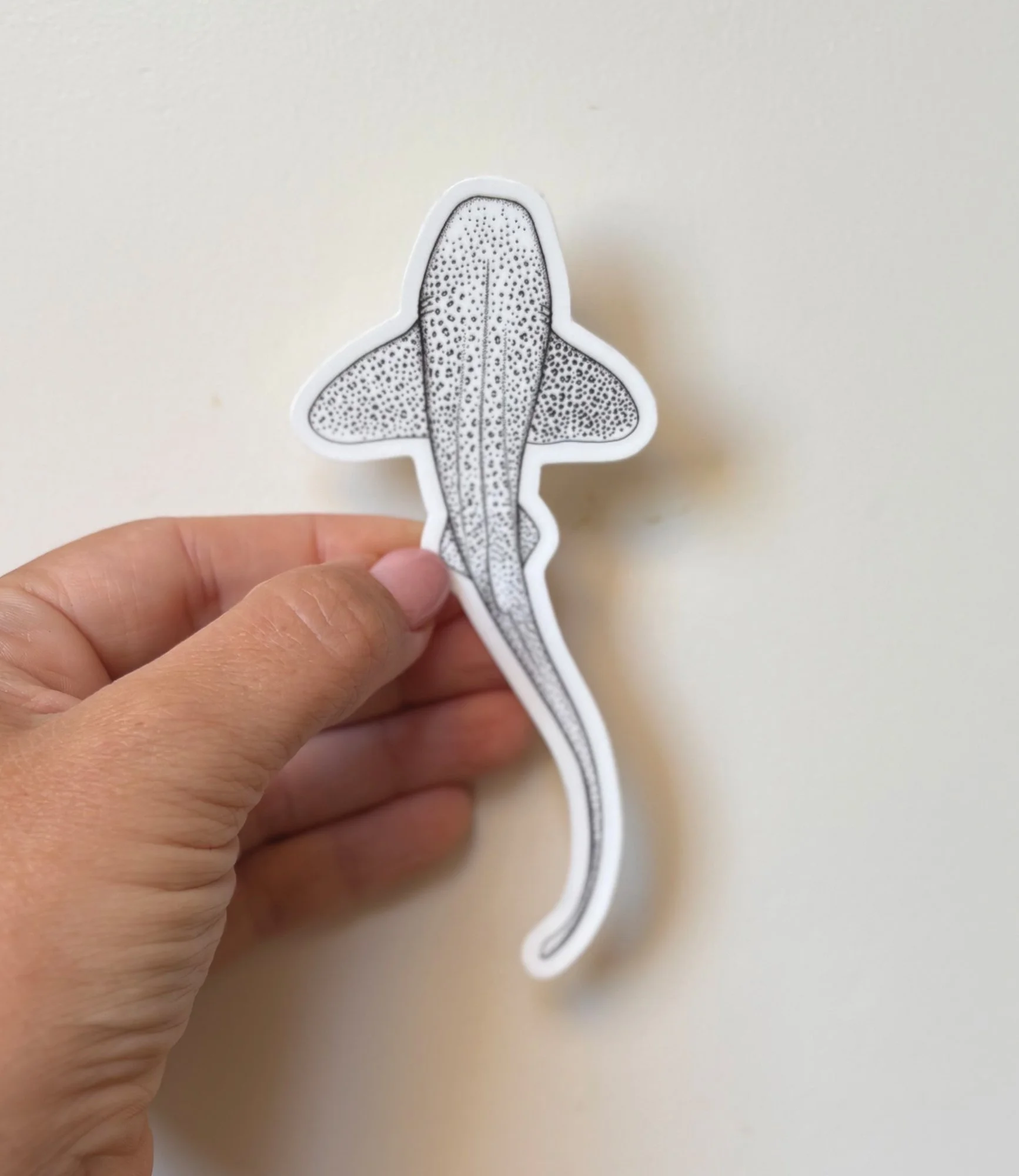 Vinyl sticker featuring a drawing of a leopard shark. Unique ocean art encapsulated into a durable, waterproof sticker. Perfect for water bottles, laptop decals, or for a journal.